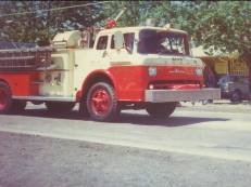 Old Ladder